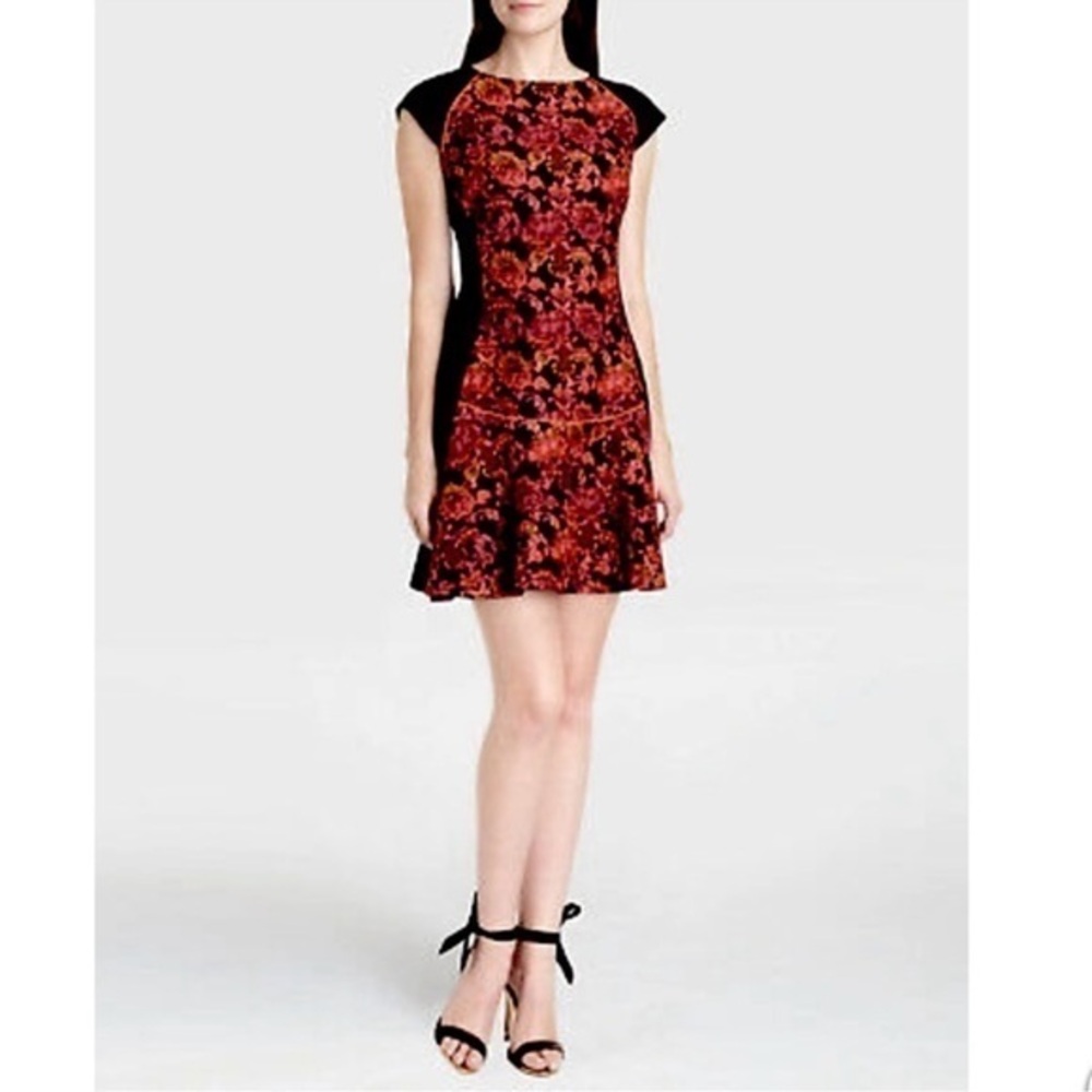 NWT TED BAKER BONNY JACQUARD FLORAL DRESS